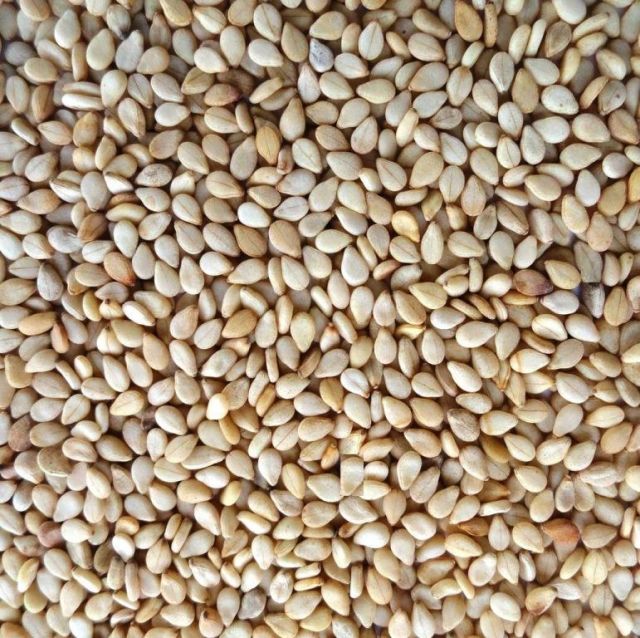 Sesame Seeds
